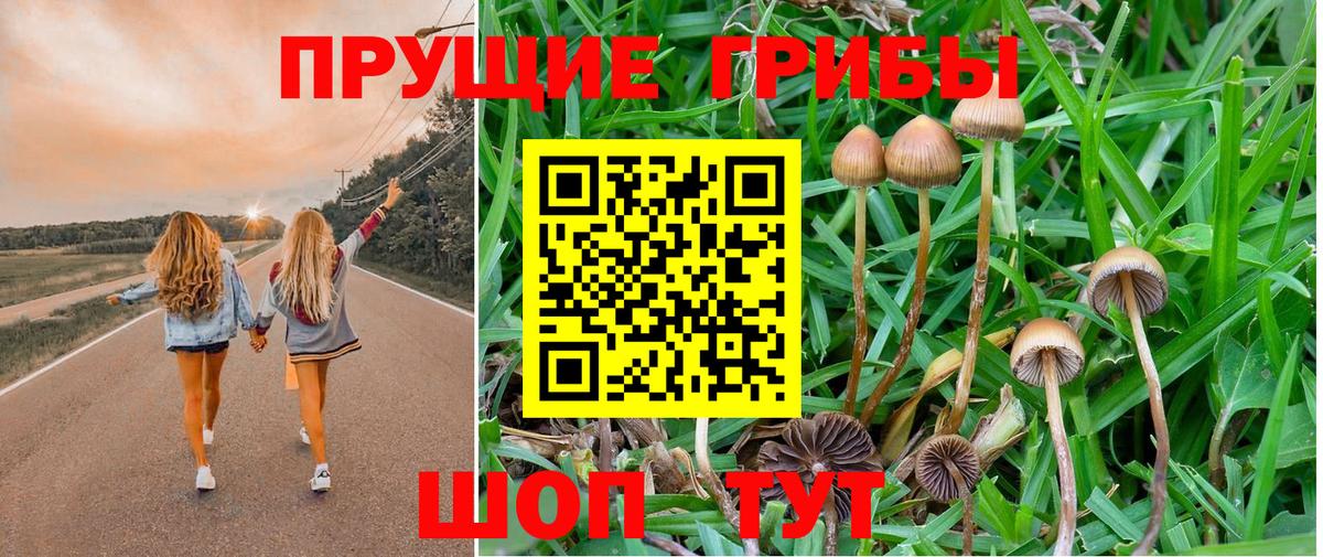 Галлюциногенные грибы мухоморы  Вход с VPN  Фрязино  Псилоцибиновые грибы Psilocybine cubensis 