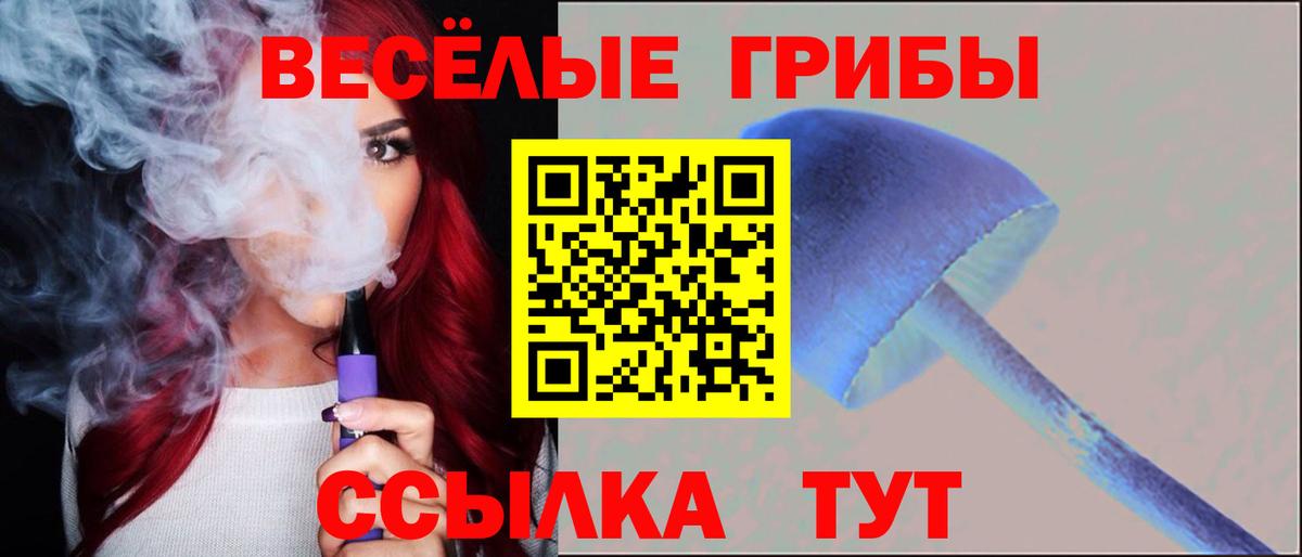 Галлюциногенные грибы Magic Shrooms Фрязино